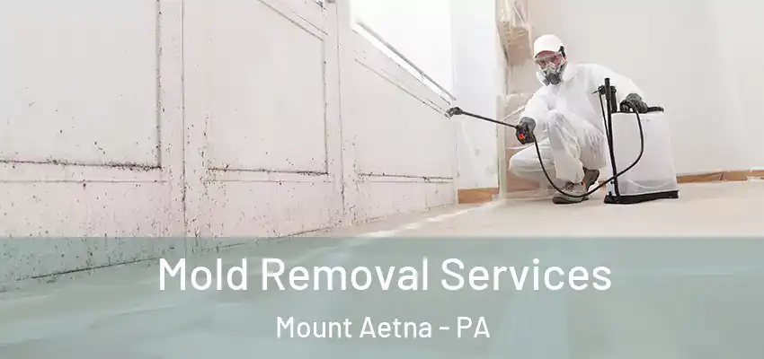  Mold Removal Services Mount Aetna - PA