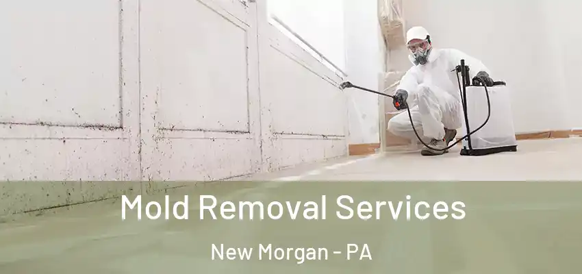 Mold Removal Services New Morgan - PA