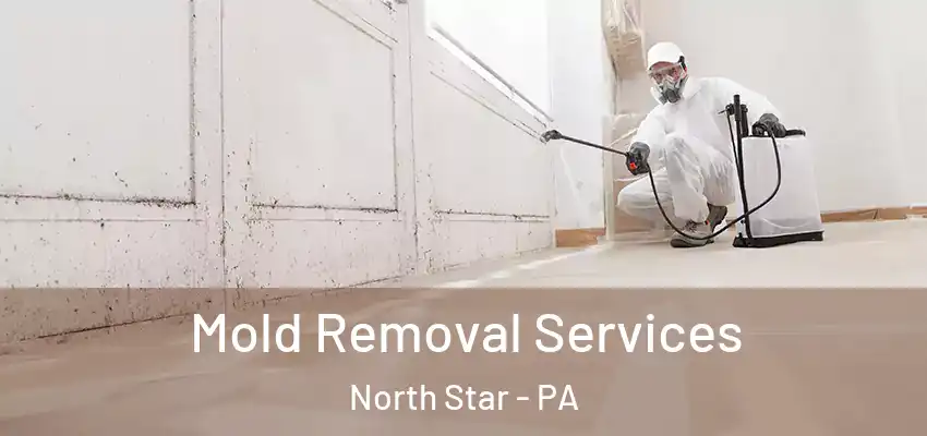  Mold Removal Services North Star - PA