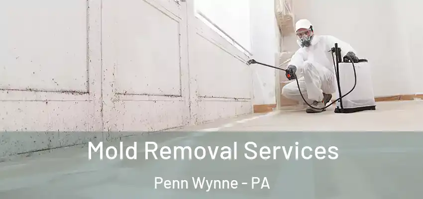  Mold Removal Services Penn Wynne - PA