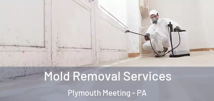 Mold Removal Services Plymouth Meeting - PA