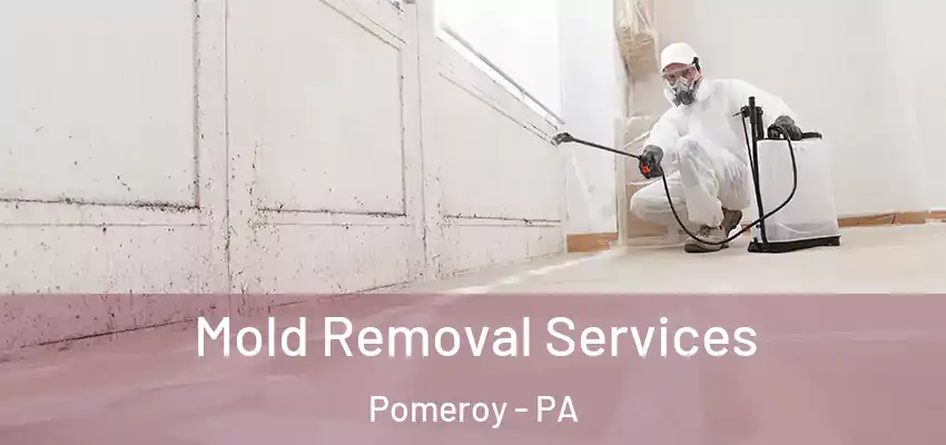 Mold Removal Services Pomeroy - PA