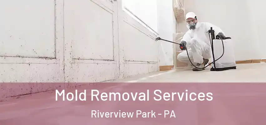  Mold Removal Services Riverview Park - PA