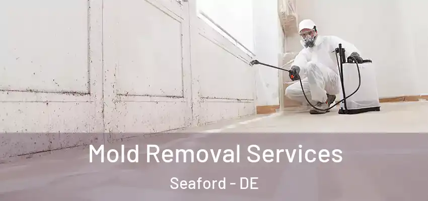 Mold Removal Services Seaford - DE