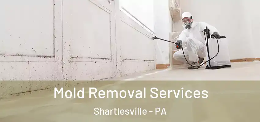 Mold Removal Services Shartlesville - PA