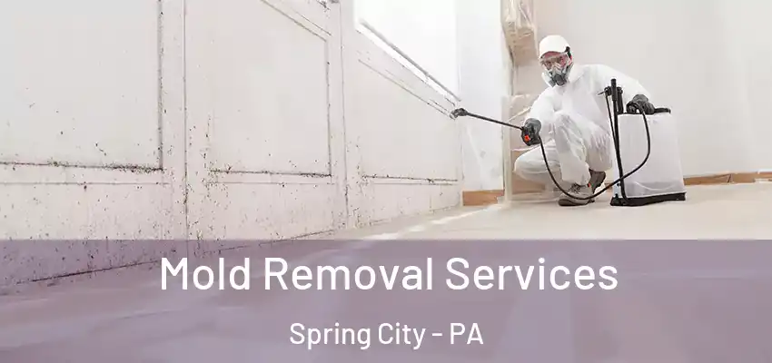  Mold Removal Services Spring City - PA
