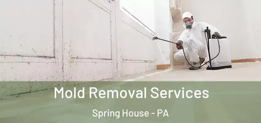 Mold Removal Services Spring House - PA