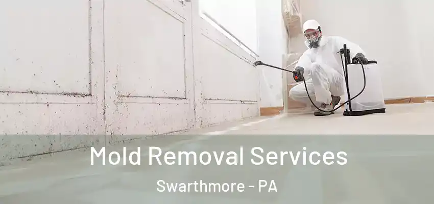  Mold Removal Services Swarthmore - PA