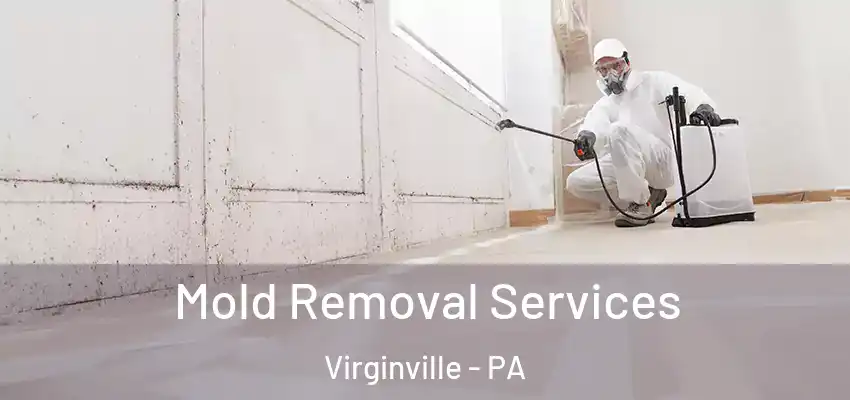 Mold Removal Services Virginville - PA