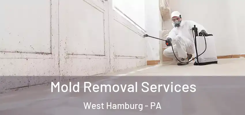  Mold Removal Services West Hamburg - PA