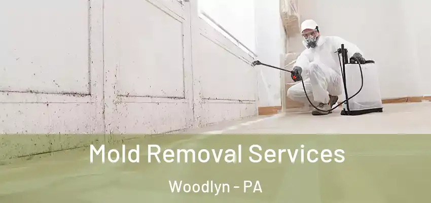 Mold Removal Services Woodlyn - PA