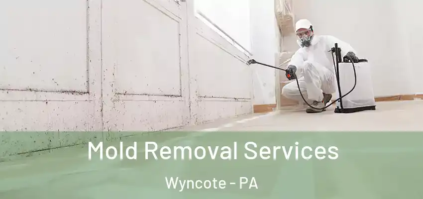 Mold Removal Services Wyncote - PA