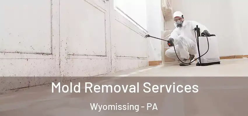 Mold Removal Services Wyomissing - PA