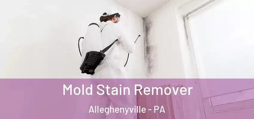  Mold Stain Remover Alleghenyville - PA