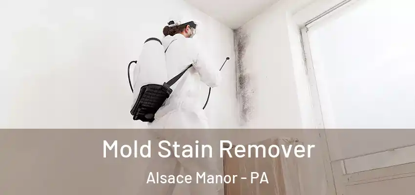 Mold Stain Remover Alsace Manor - PA