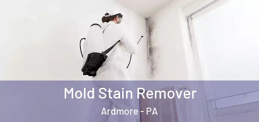 Mold Stain Remover Ardmore - PA