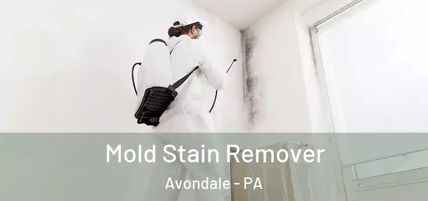 Mold Stain Remover Avondale - PA