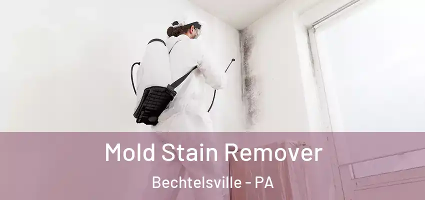 Mold Stain Remover Bechtelsville - PA