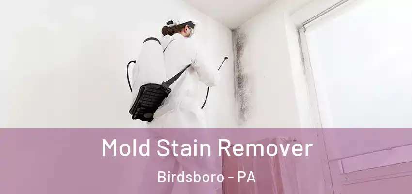  Mold Stain Remover Birdsboro - PA