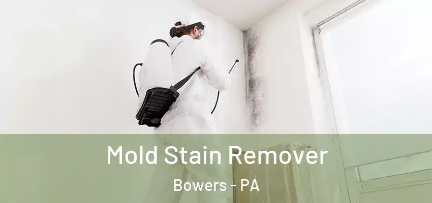 Mold Stain Remover Bowers - PA