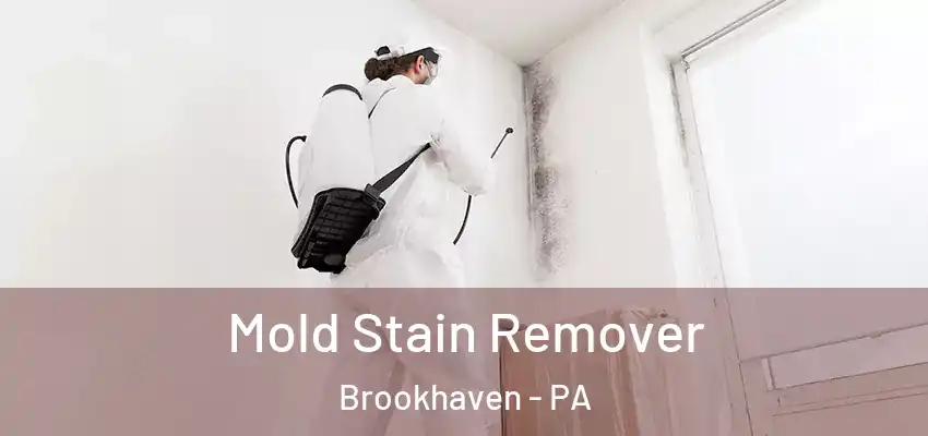Mold Stain Remover Brookhaven - PA