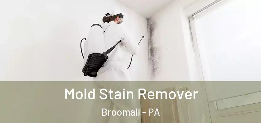 Mold Stain Remover Broomall - PA