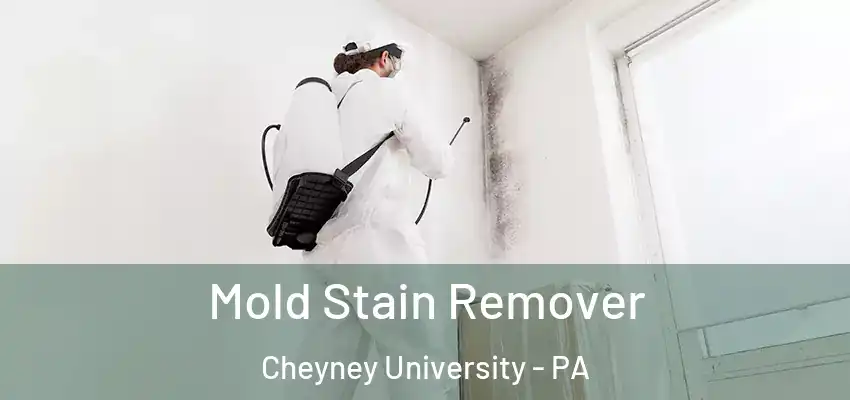  Mold Stain Remover Cheyney University - PA