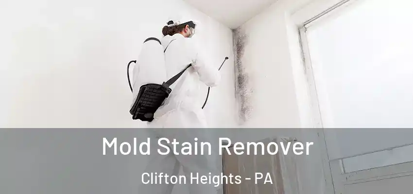  Mold Stain Remover Clifton Heights - PA