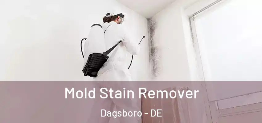 Mold Stain Remover Dagsboro - DE