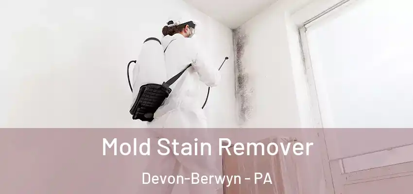  Mold Stain Remover Devon-Berwyn - PA