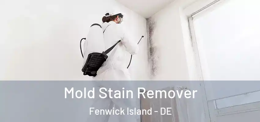 Mold Stain Remover Fenwick Island - DE