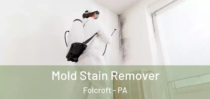 Mold Stain Remover Folcroft - PA