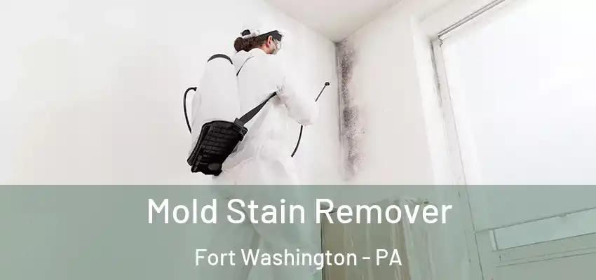  Mold Stain Remover Fort Washington - PA