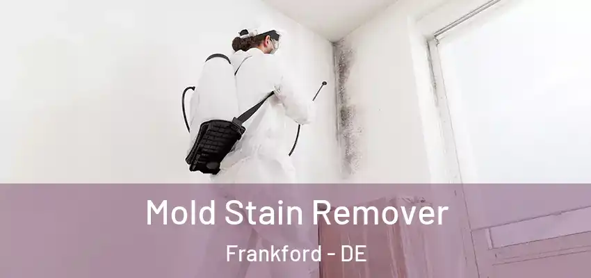 Mold Stain Remover Frankford - DE