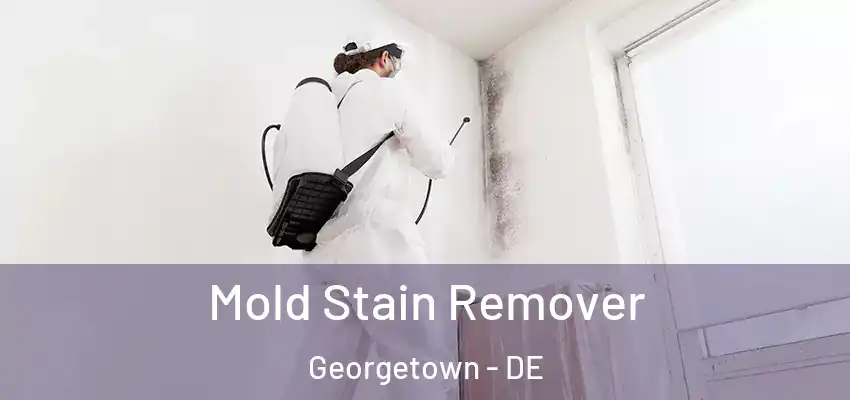 Mold Stain Remover Georgetown - DE