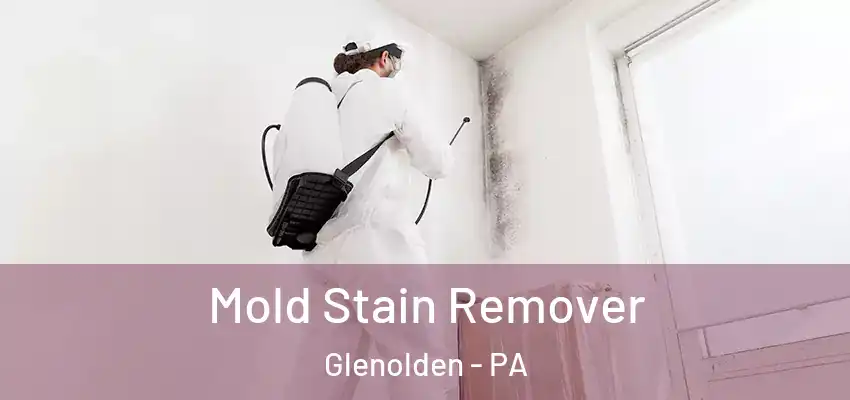 Mold Stain Remover Glenolden - PA