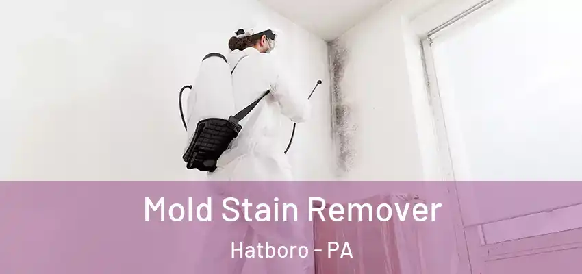 Mold Stain Remover Hatboro - PA