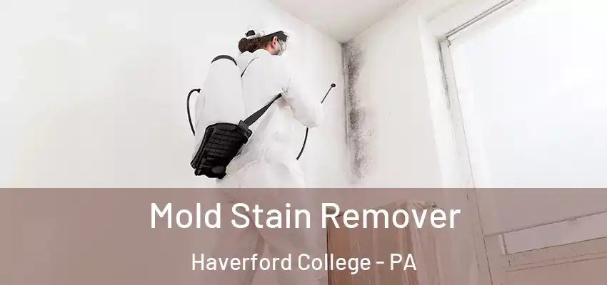 Mold Stain Remover Haverford College - PA