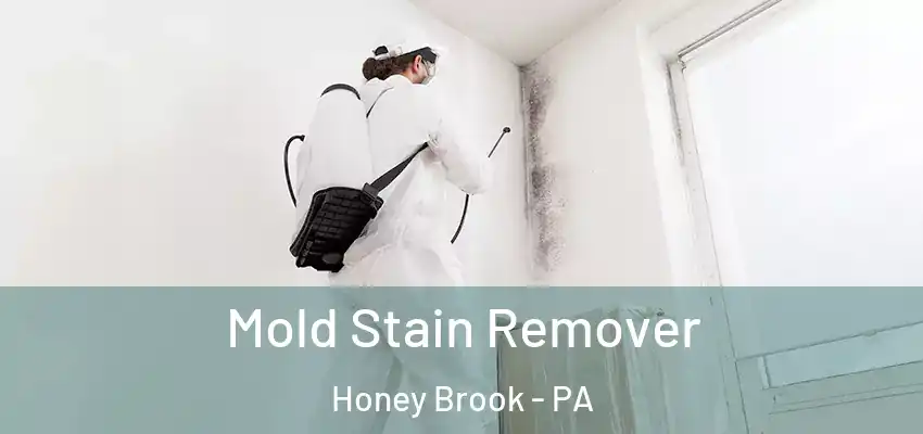  Mold Stain Remover Honey Brook - PA
