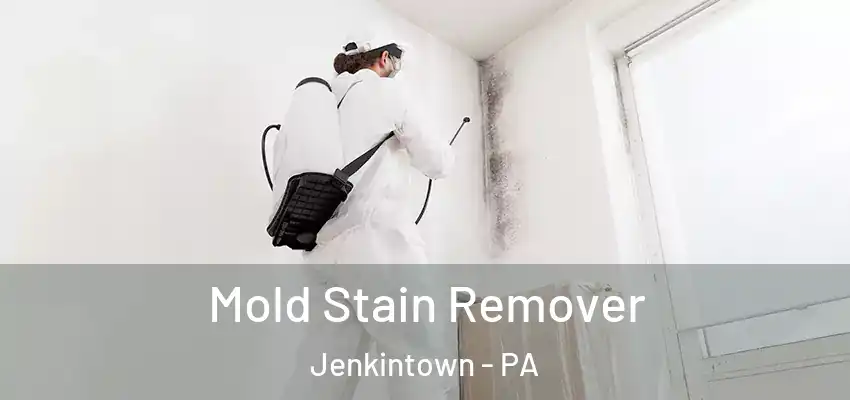 Mold Stain Remover Jenkintown - PA