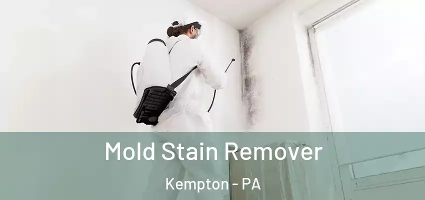  Mold Stain Remover Kempton - PA