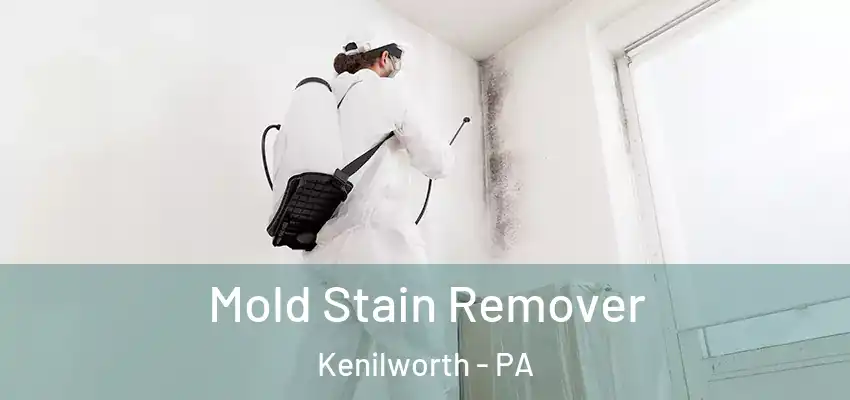  Mold Stain Remover Kenilworth - PA
