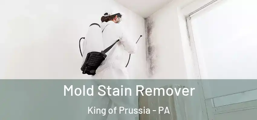Mold Stain Remover King of Prussia - PA