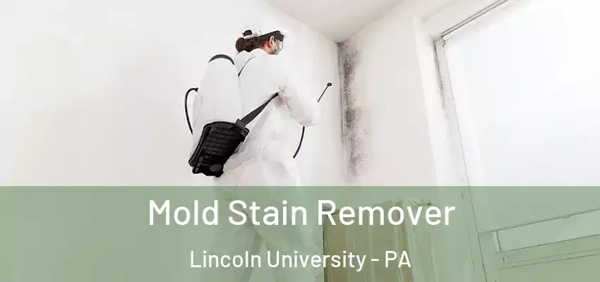  Mold Stain Remover Lincoln University - PA