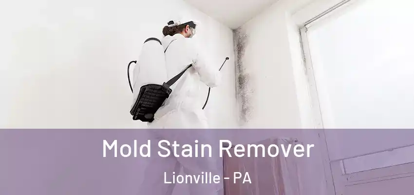  Mold Stain Remover Lionville - PA