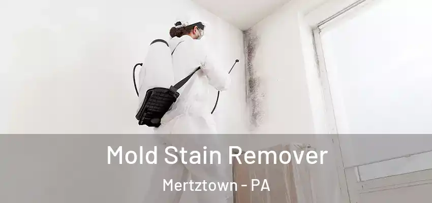  Mold Stain Remover Mertztown - PA