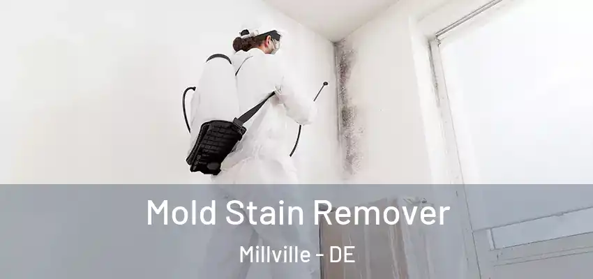 Mold Stain Remover Millville - DE