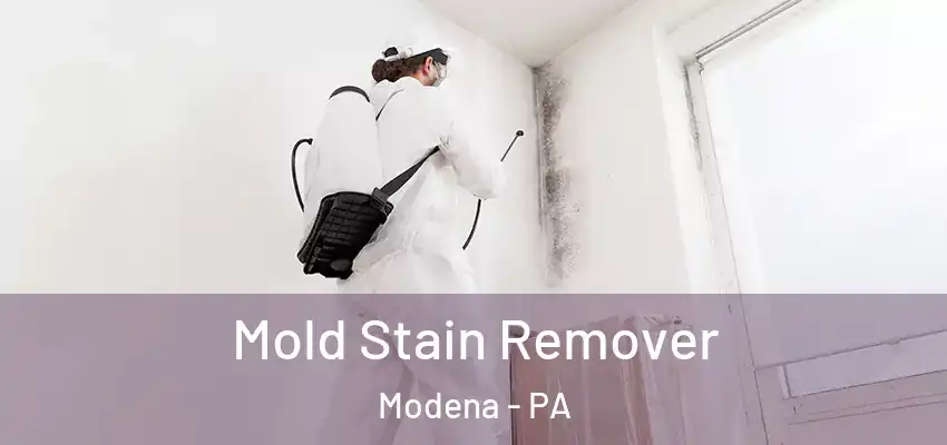  Mold Stain Remover Modena - PA