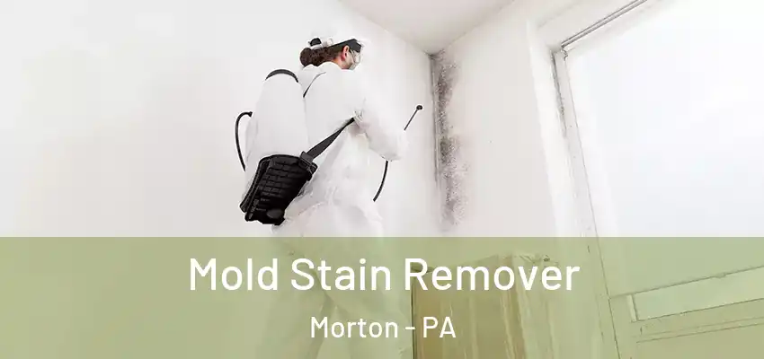 Mold Stain Remover Morton - PA