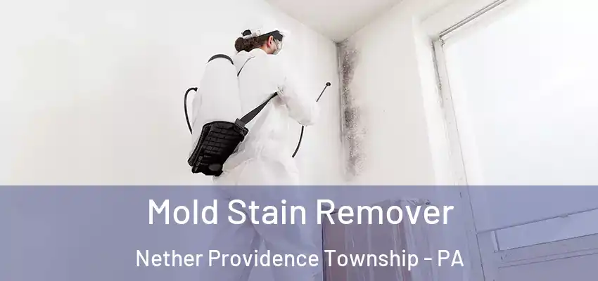 Mold Stain Remover Nether Providence Township - PA